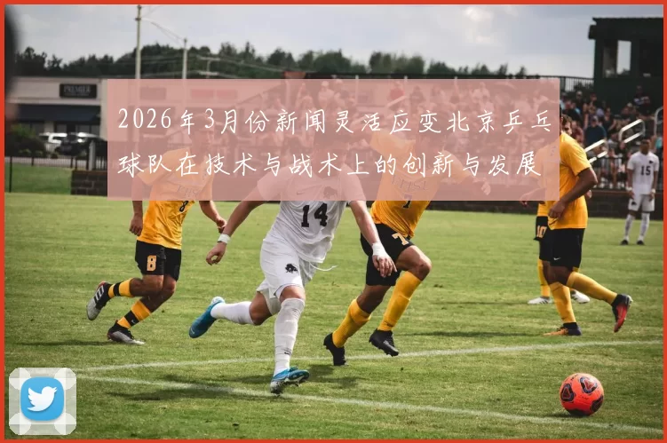 2026年3月份新闻灵活应变北京乒乓球队在技术与战术上的创新与发展探讨